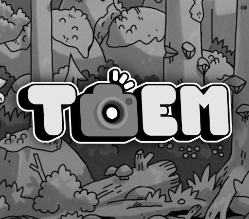 TOEM: A Photo Adventure