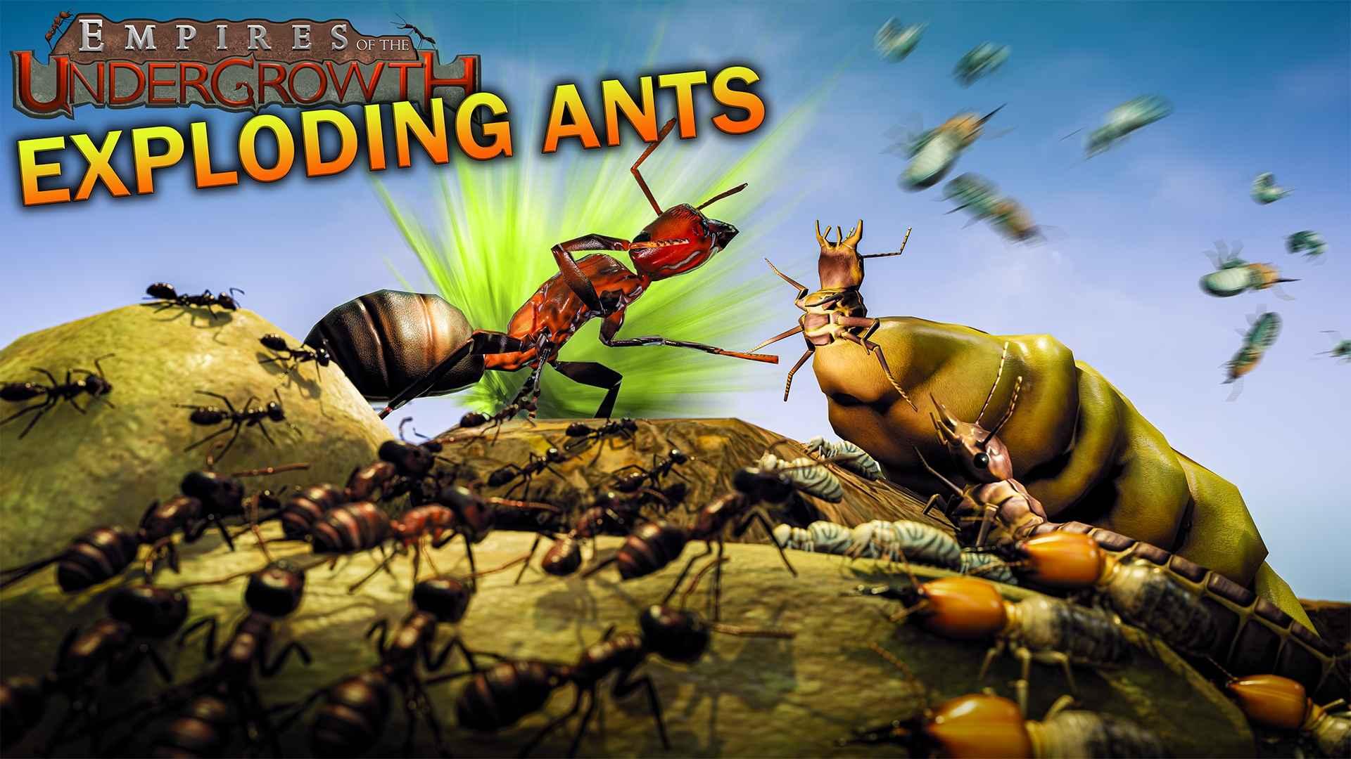 Фоновое изображение